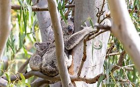 A Quiet Unit Overlooking A Reserve
